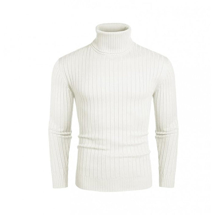 Men's Ribbed Fine-knit Turtleneck Sweater Slim Fit