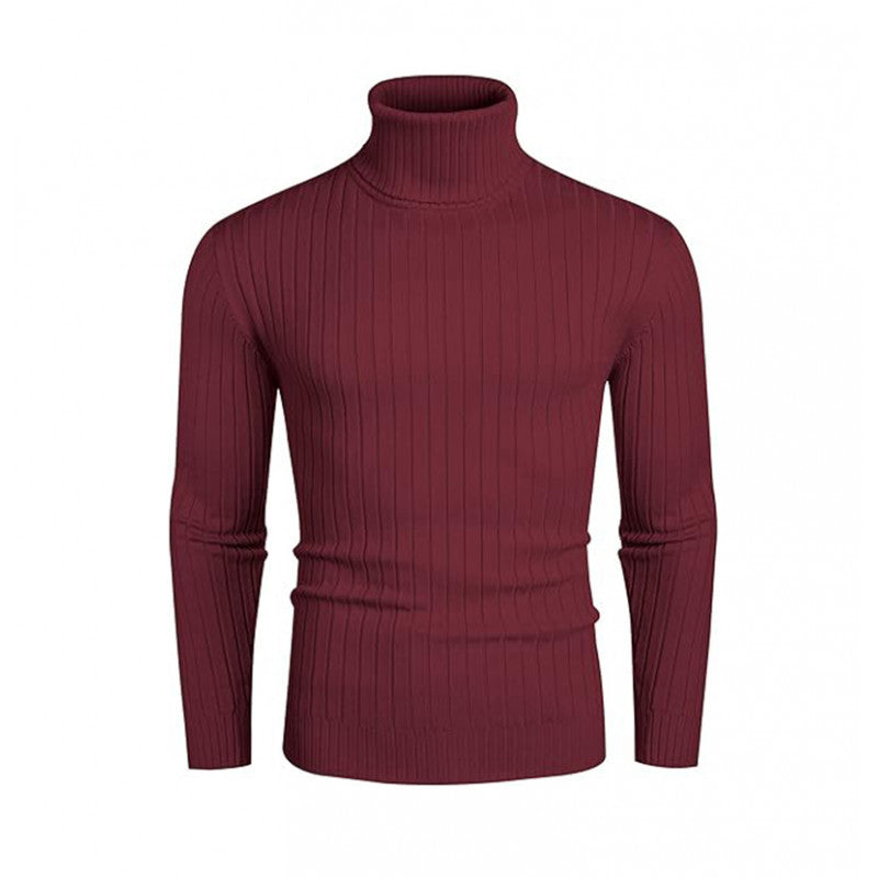 Men's Ribbed Fine-knit Turtleneck Sweater Slim Fit
