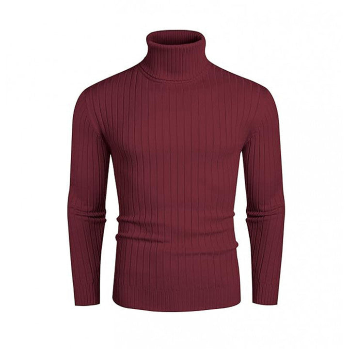 Men's Ribbed Fine-knit Turtleneck Sweater Slim Fit