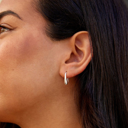 Francesca Water Drop Silver-Tone Earrings