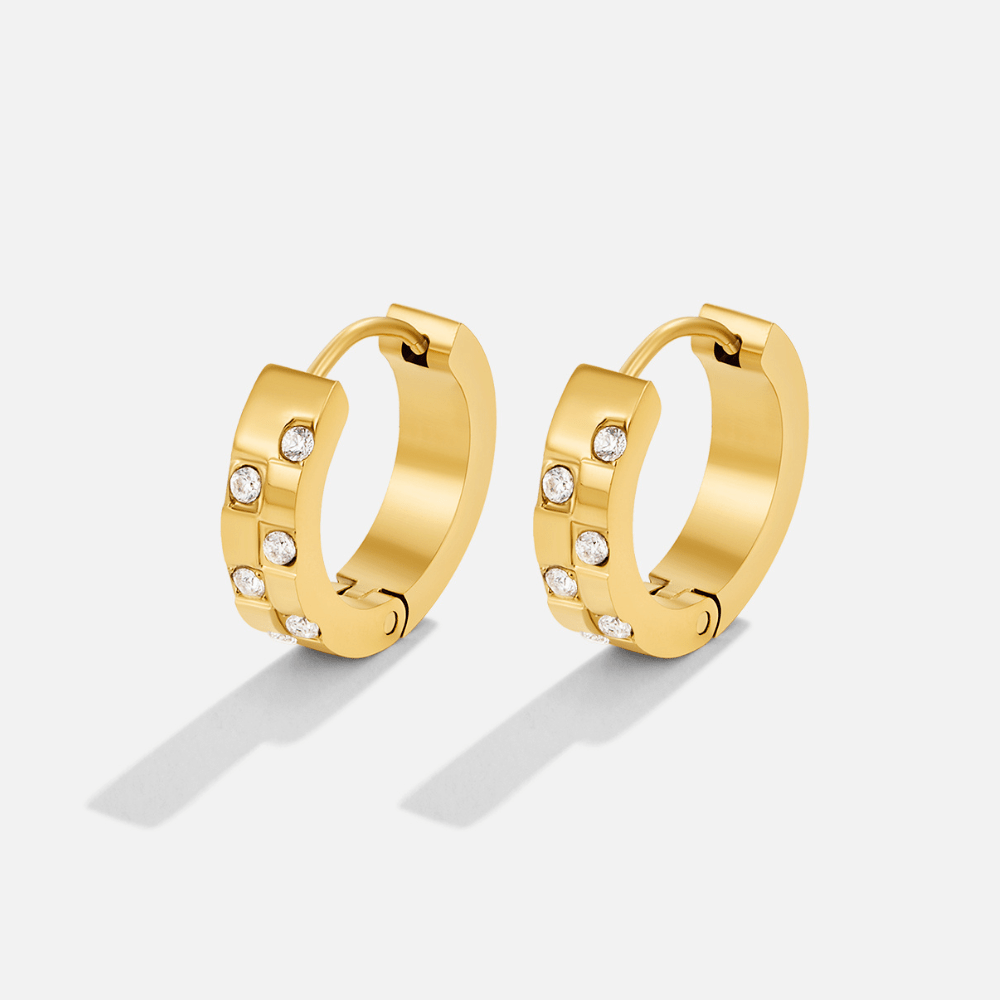 Tasha Crystal & Gold-Tone Hoop Earrings